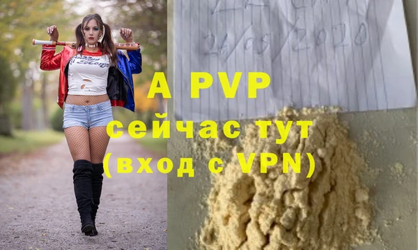метадон Богданович