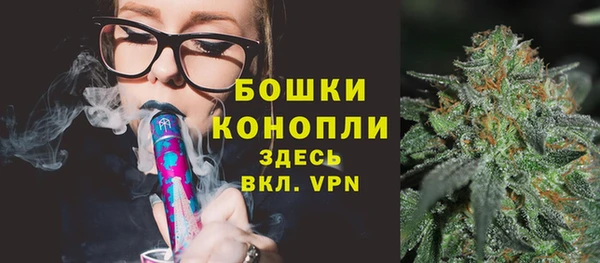 spice Бронницы