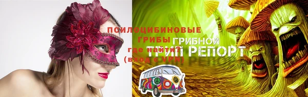 метадон Богданович