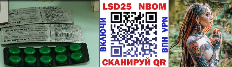 продажа наркотиков  Болотное  ЛСД экстази ecstasy 